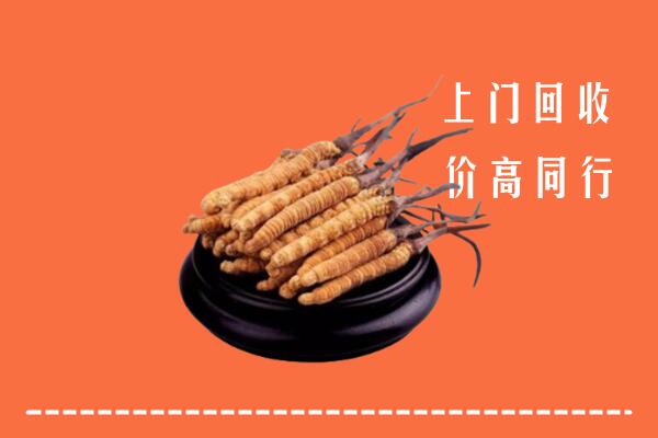 石嘴山回收冬虫夏草