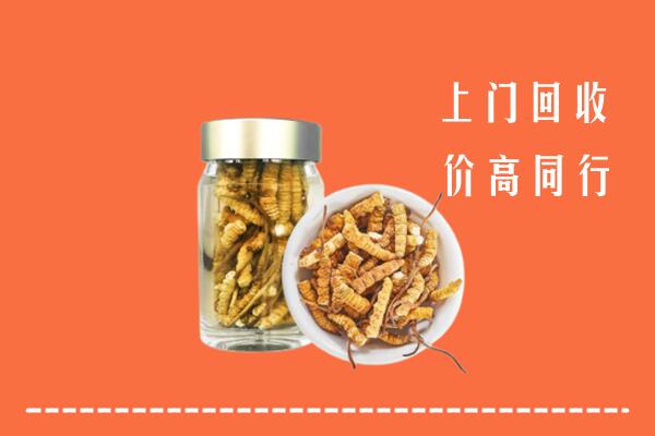 石嘴山回收冬虫夏草