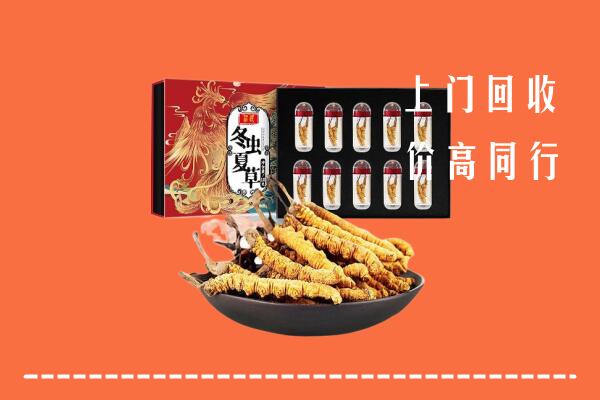石嘴山回收虫草